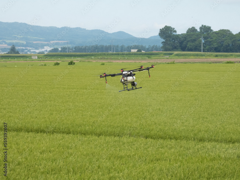 日産化学とBASF、日本の水稲向けに「プレシオアクティブ」含む新殺虫剤の戦略的提携を発表テスト投稿
